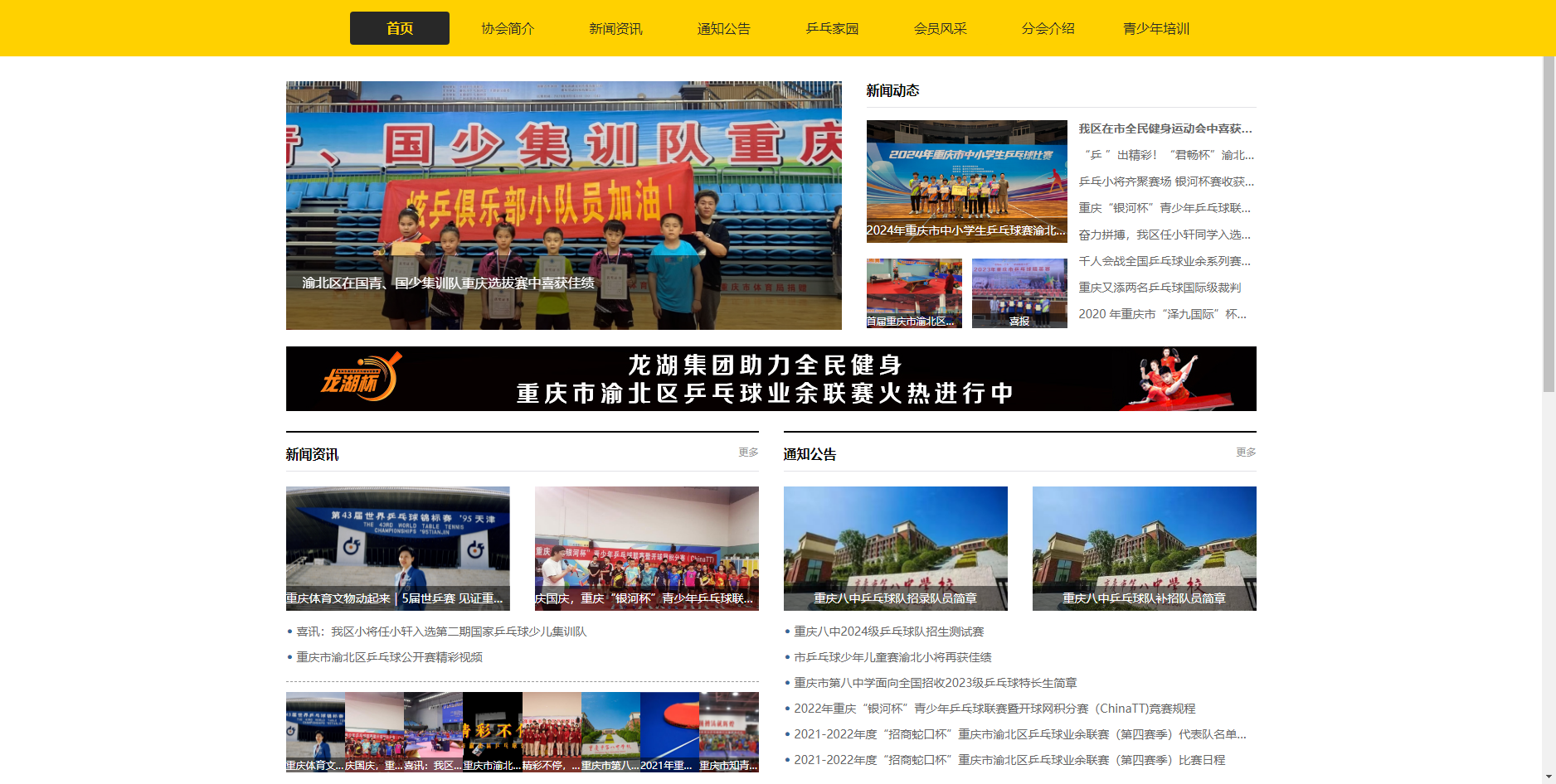 重庆市渝北区乒乓球协会-网站建设